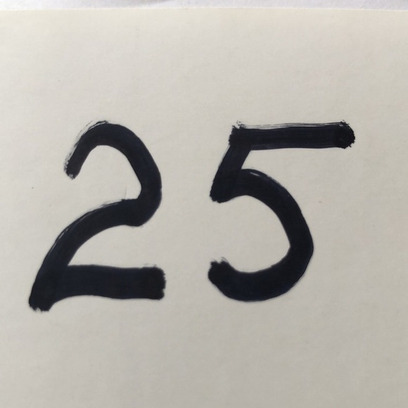 ZARA RED STRIPED ORGANZA BOMBER JACKET SIZE XS - Picture 12 of 12